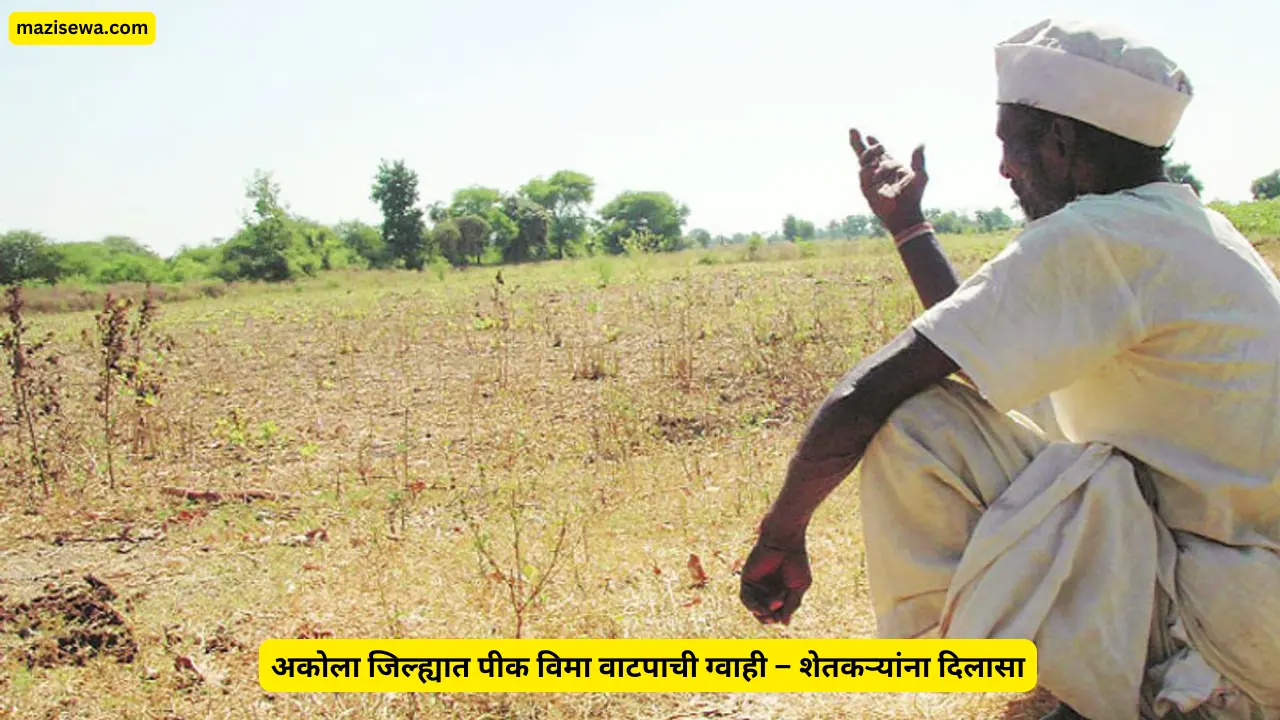 अकोला जिल्ह्यात पीक विमा वाटपाची ग्वाही – शेतकऱ्यांना दिलासा